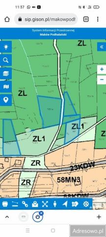 Działka leśna Grzechynia. Zdjęcie 1