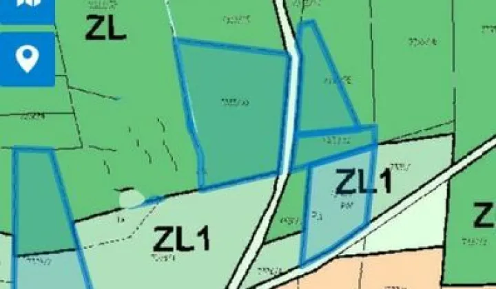 Działka leśna Grzechynia