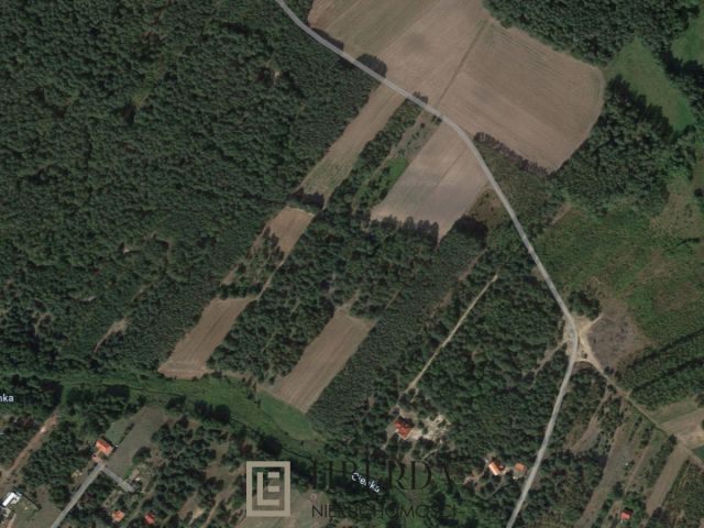 Działka rolna Kąty-Miąski. Zdjęcie 1