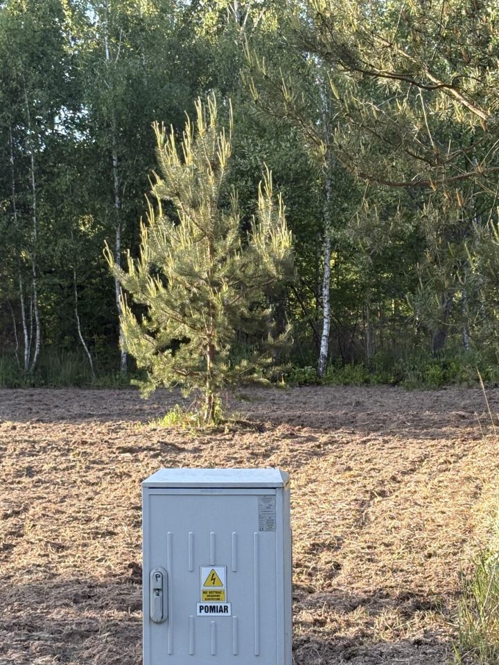 Działka budowlana Błędowo, ul. Sielawy. Zdjęcie 12