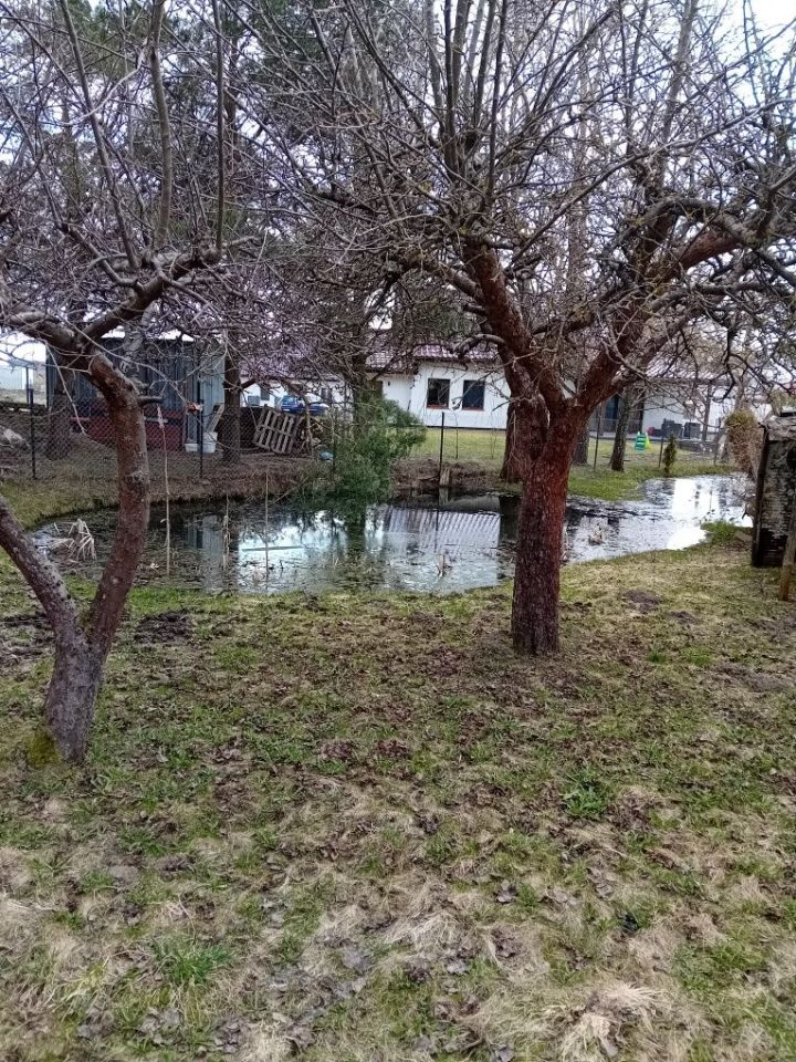 Działka rod Jonkowo, ul. Spacerowa. Zdjęcie 2