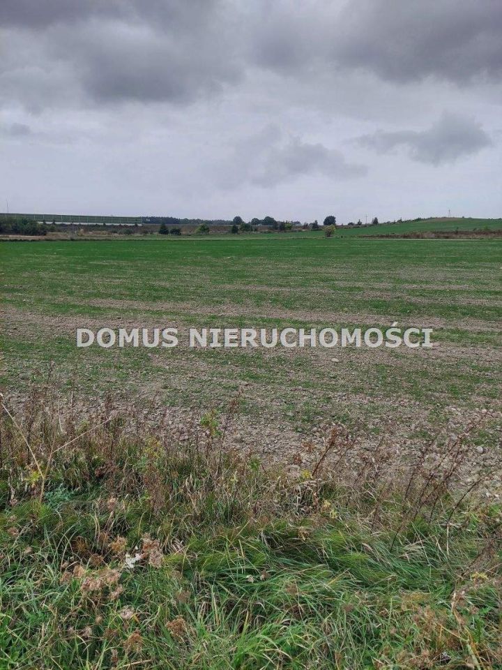 Działka rolna Buczek. Zdjęcie 2