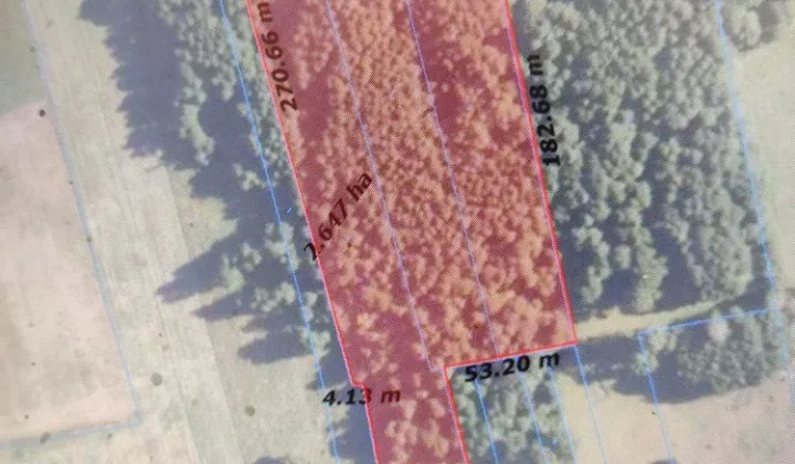 Działka rolna Jurasze