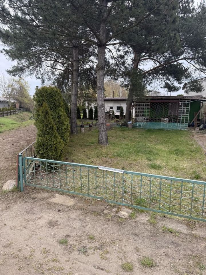 Działka rod Śrem, ul. Parkowa. Zdjęcie 5