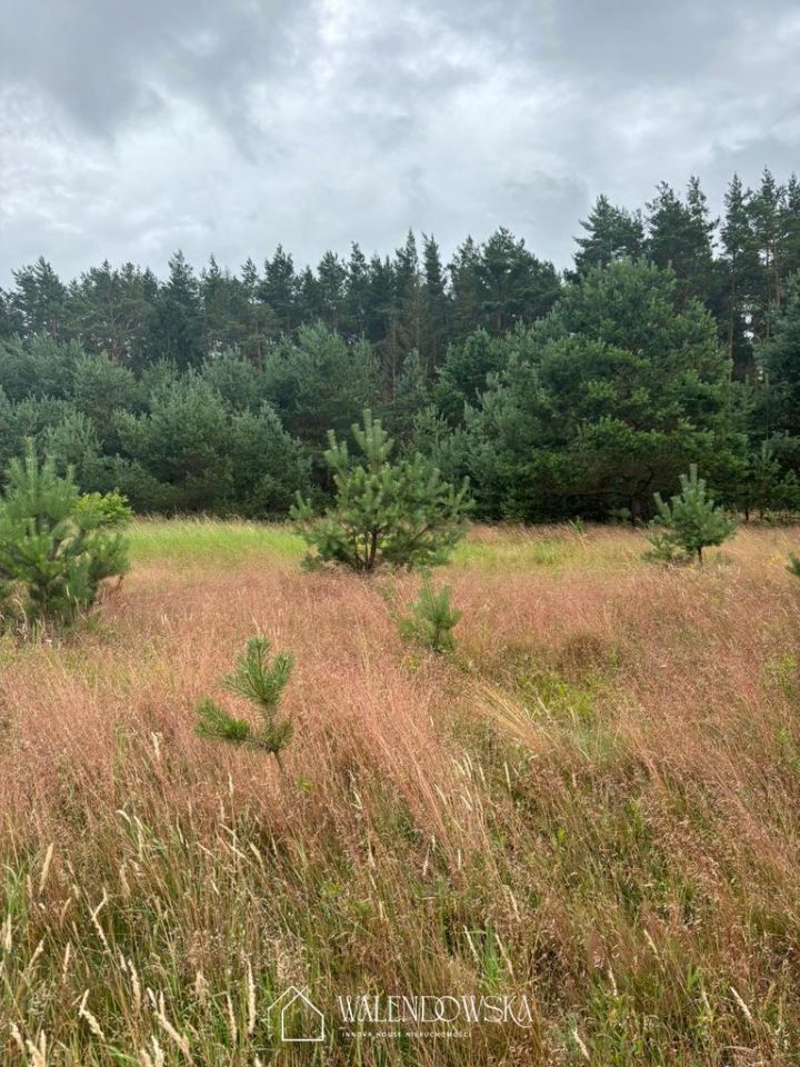 Działka inwestycyjna Smołdzino. Zdjęcie 2