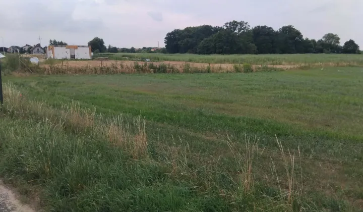 Działka rolno-budowlana Głoska, ul. Kwiatowa