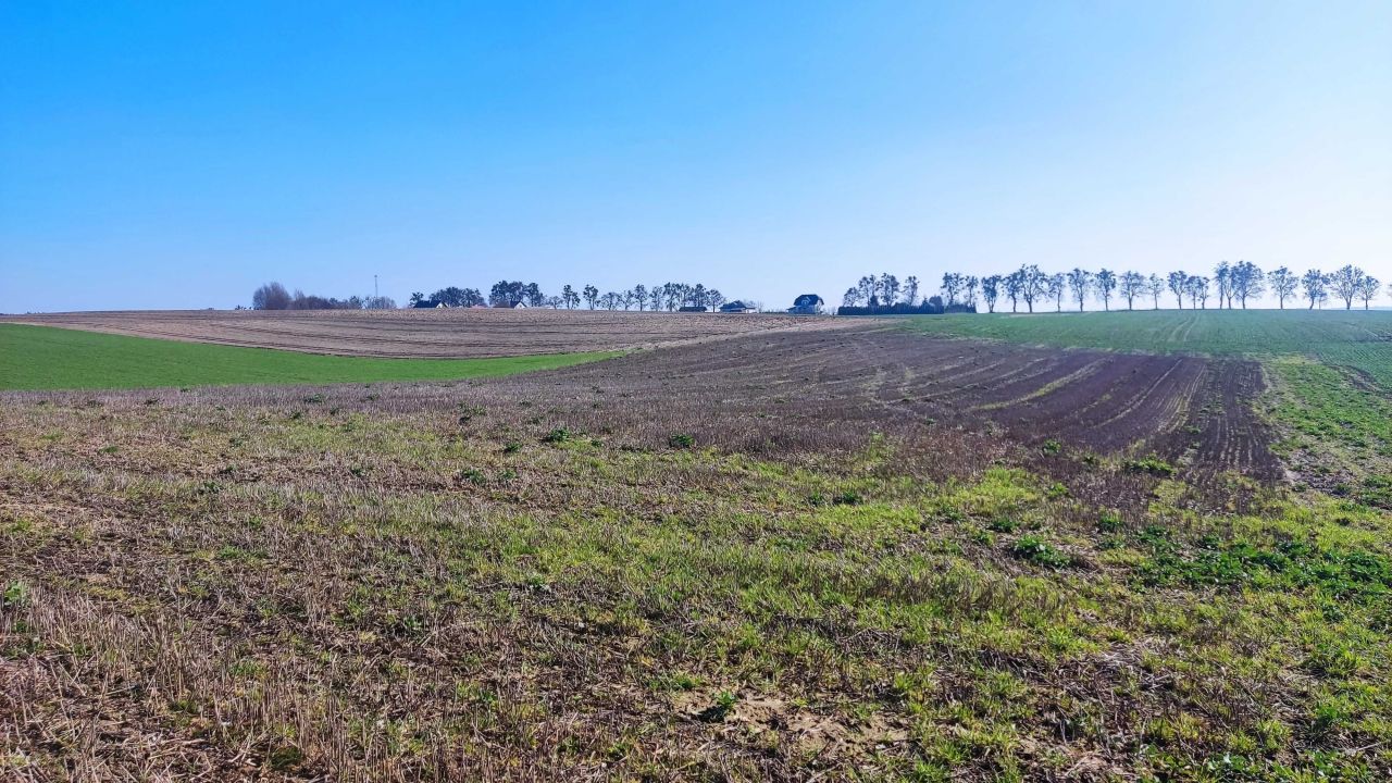 Działka rolna Karbowo Pokrzywki