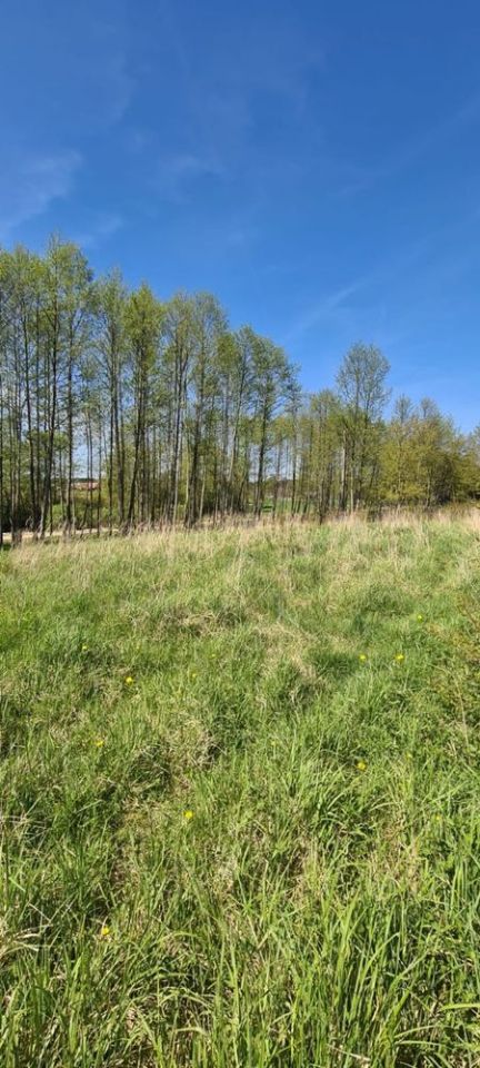 Działka rekreacyjna Antoninów. Zdjęcie 2