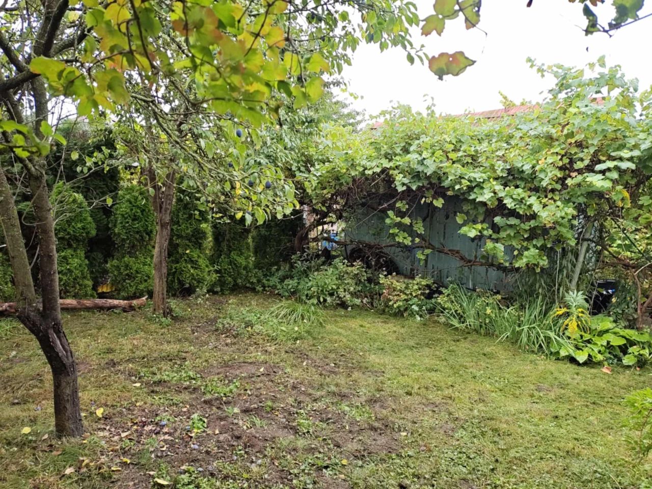 Działka rod Gorzów Wielkopolski Zamoście, ul. Śląska. Zdjęcie 14