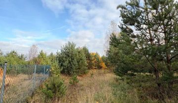 Działka rekreacyjna Osowo Leśne