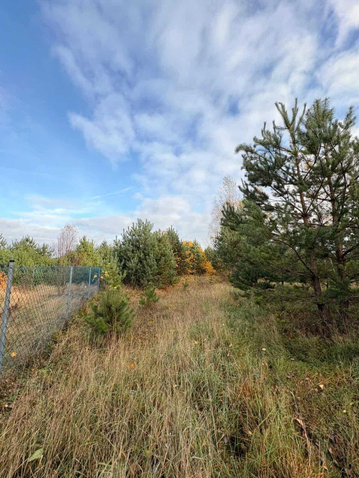 Działka rekreacyjna Osowo Leśne. Zdjęcie 2