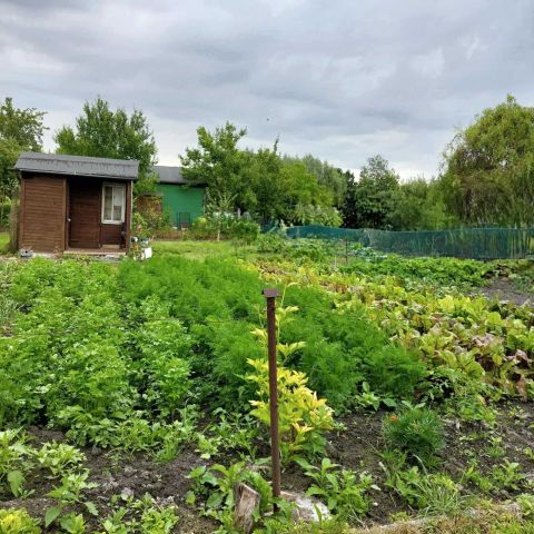 Działka rod Lublin, ul. Wapienna. Zdjęcie 1