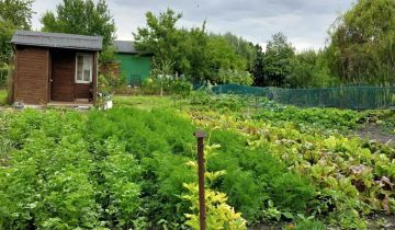 Działka rod Lublin, ul. Wapienna