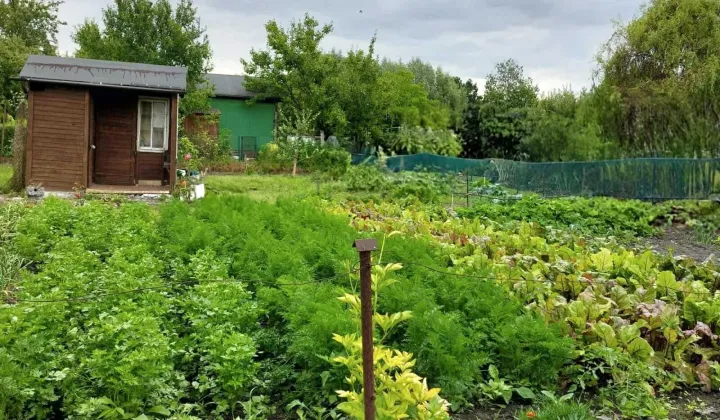 Działka rod Lublin, ul. Wapienna