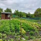 Działka rod Lublin, ul. Wapienna