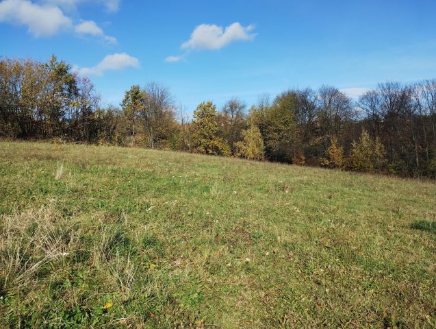 Działka rolna Dylągowa Skotnik. Zdjęcie 1