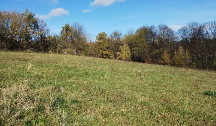 Działka rolna Dylągowa Skotnik