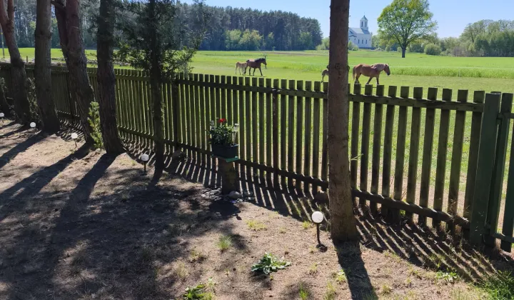 Działka rekreacyjna Zambski Kościelne, Leśna