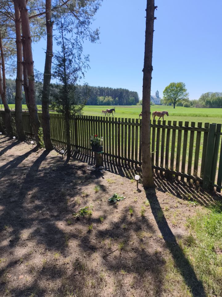 Działka rekreacyjna Zambski Kościelne, Leśna. Zdjęcie 1