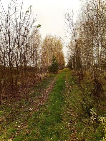 Działka rolno-budowlana Stare Grudze. Zdjęcie 1