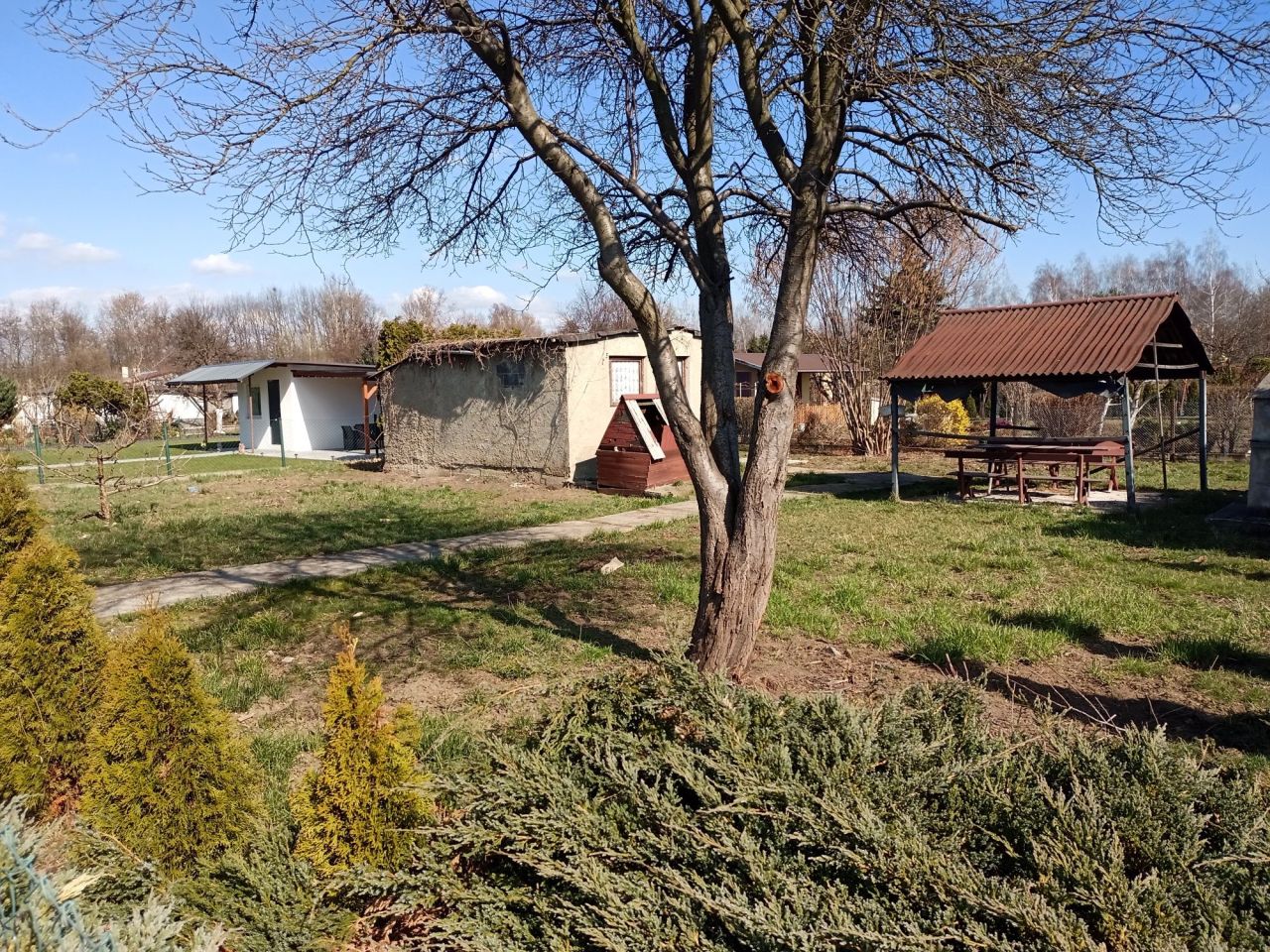 Działka rod Gliwice Sośnica. Zdjęcie 4