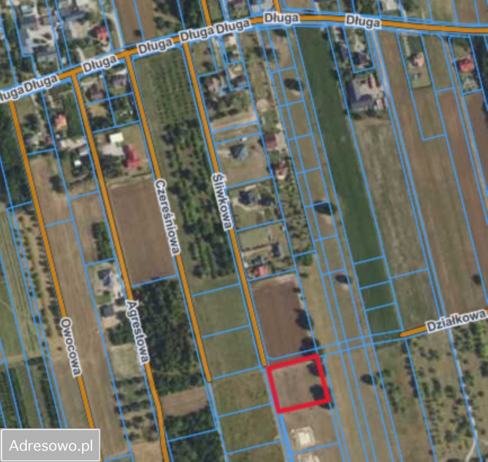 Działka siedliskowa Kaleń-Towarzystwo, ul. Śliwkowa. Zdjęcie 6