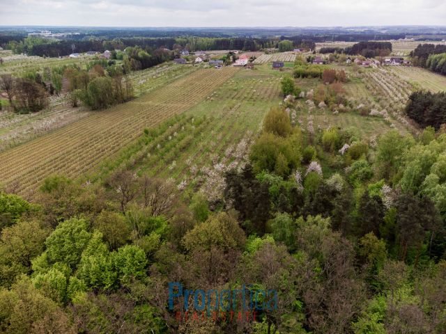 Działka budowlana Kocerany, ul. Nowy Trakt. Zdjęcie 10