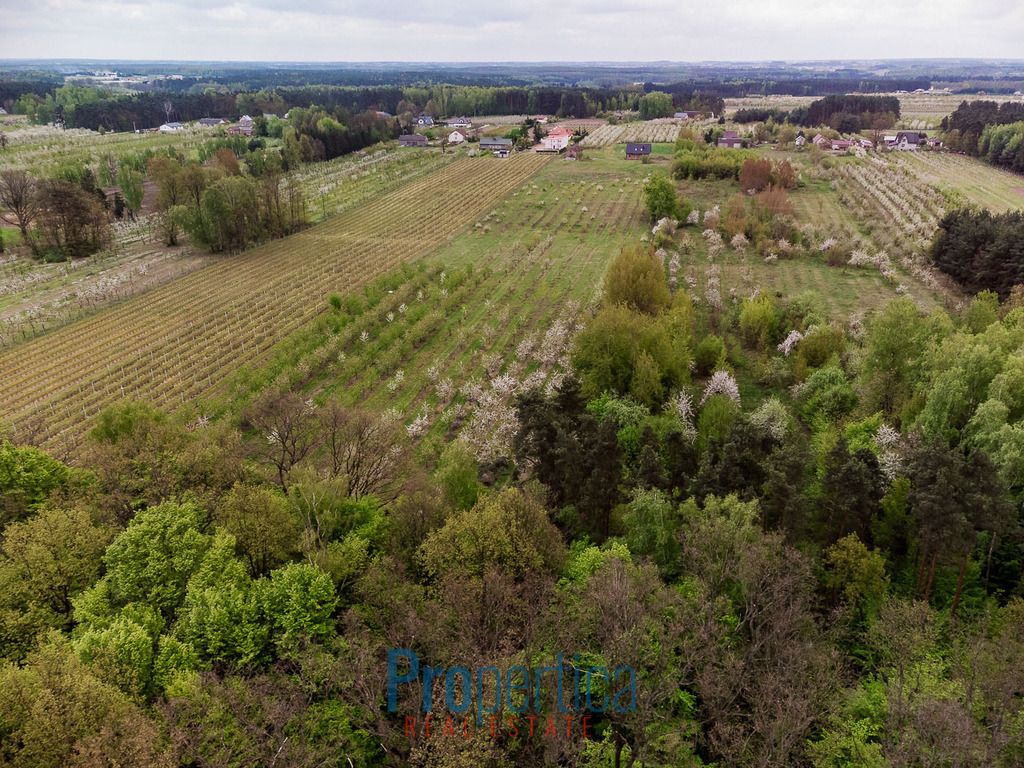 Działka budowlana Kocerany, ul. Nowy Trakt. Zdjęcie 10