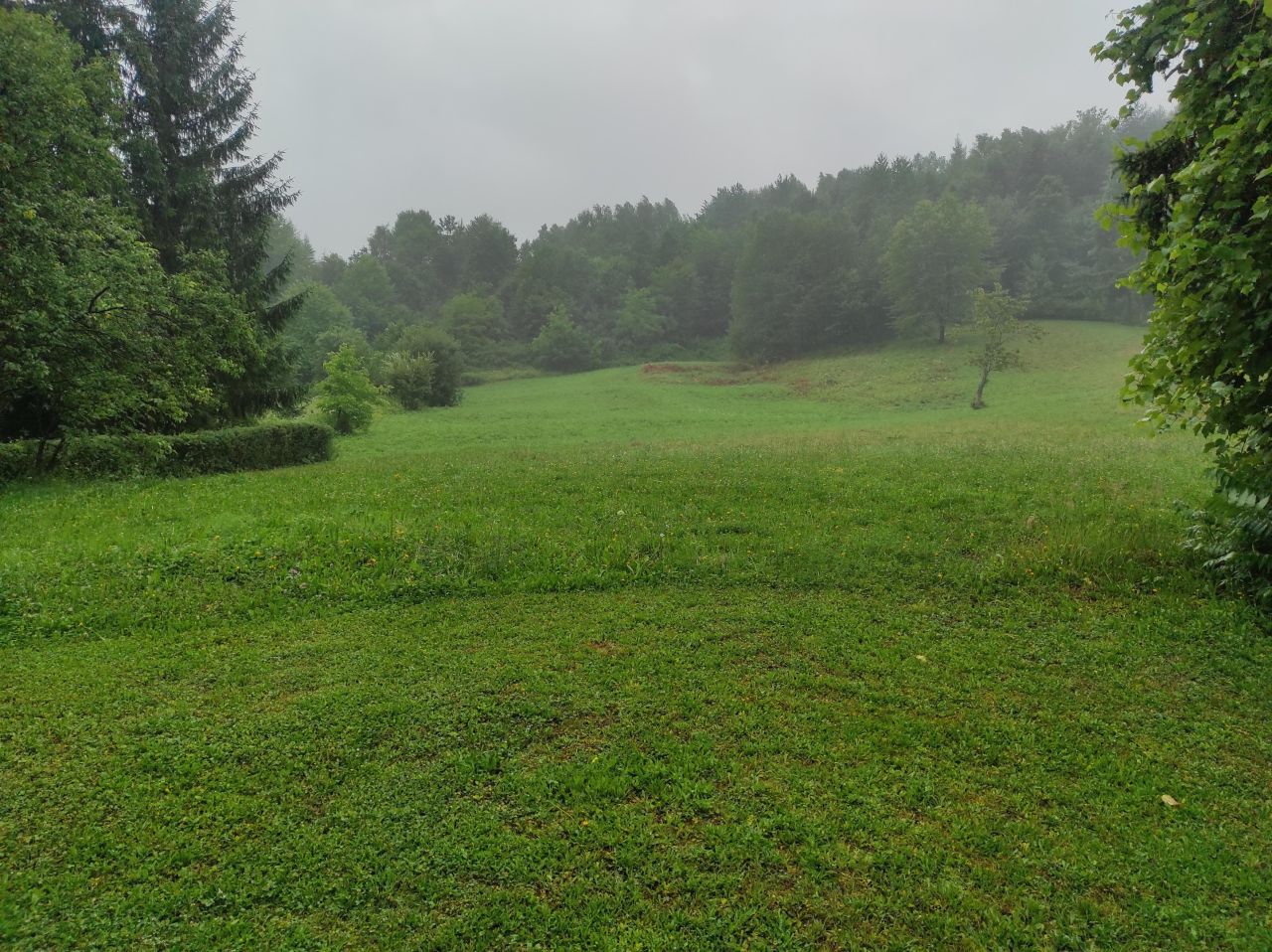 Działka siedliskowa Golcowa. Zdjęcie 3