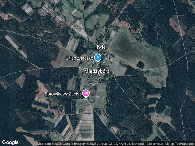 Działka rolna Międzybórz. Zdjęcie 1