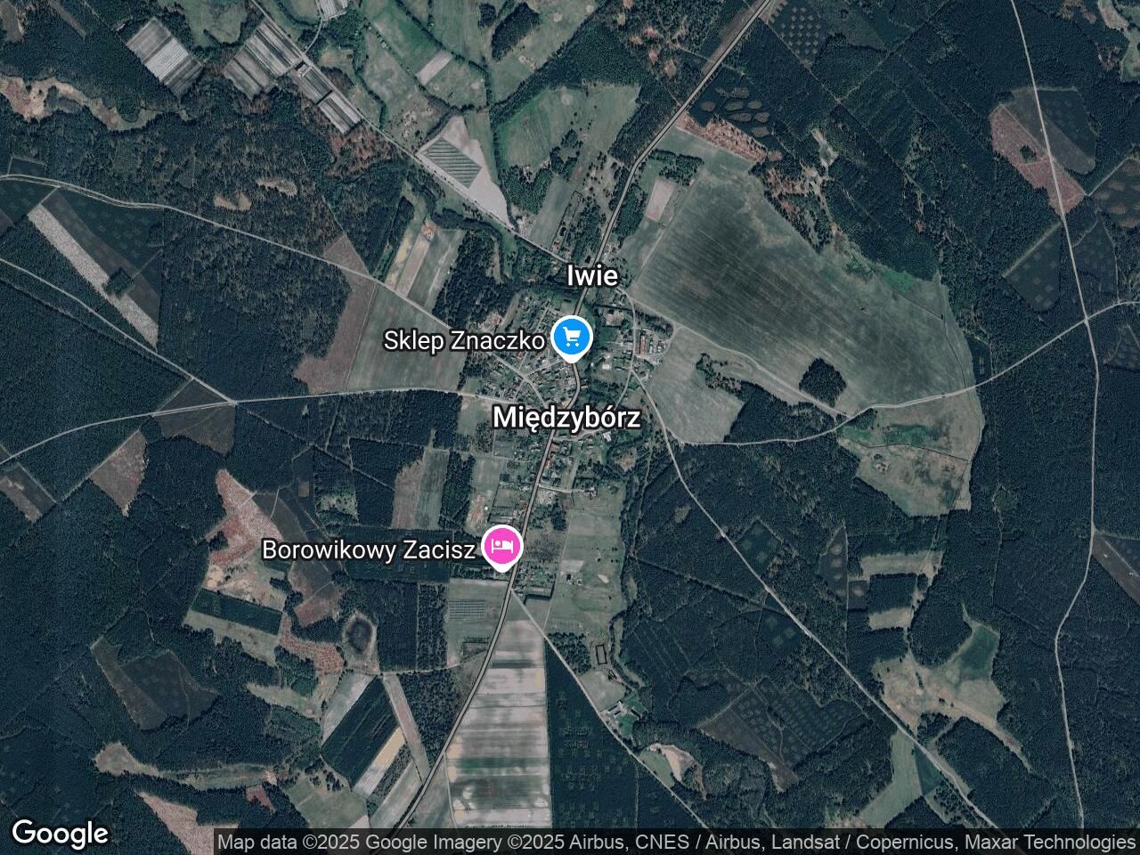 Działka rolna Międzybórz