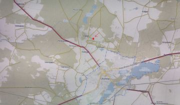 Działka leśna Dąbki