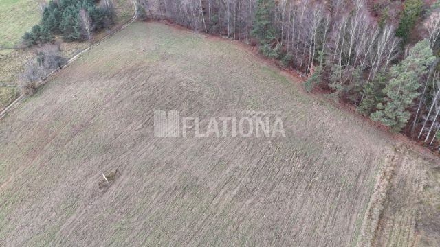 Działka rolna Paraszyno. Zdjęcie 9