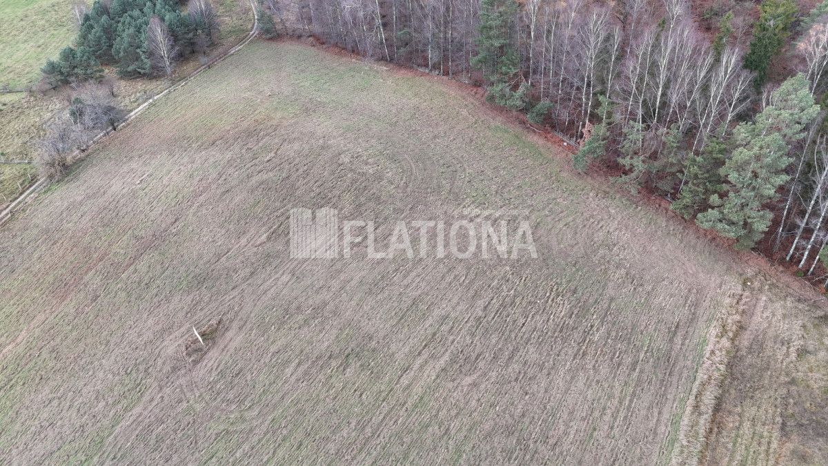 Działka rolna Paraszyno. Zdjęcie 9