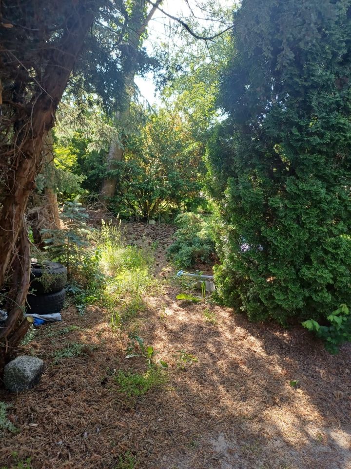 Działka rekreacyjna Żurczyn. Zdjęcie 5