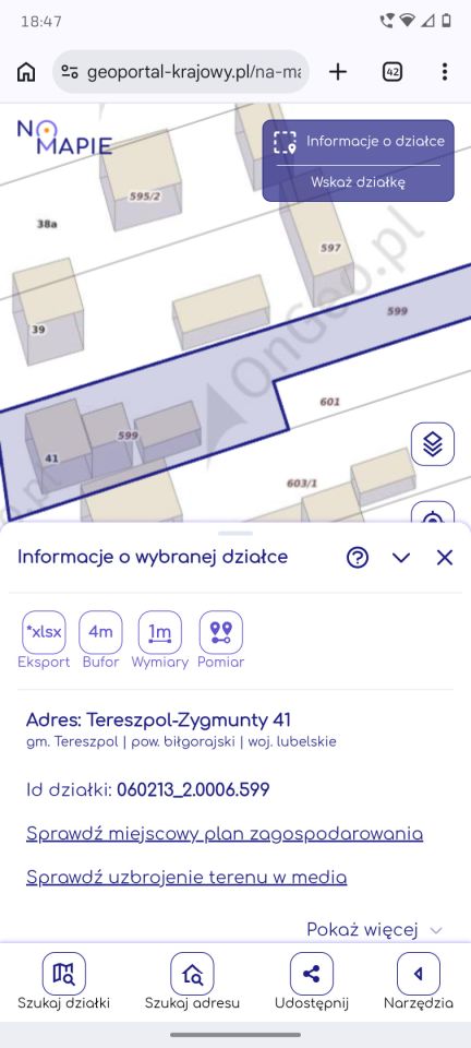 Działka rolna Tereszpol-Zygmunty. Zdjęcie 8