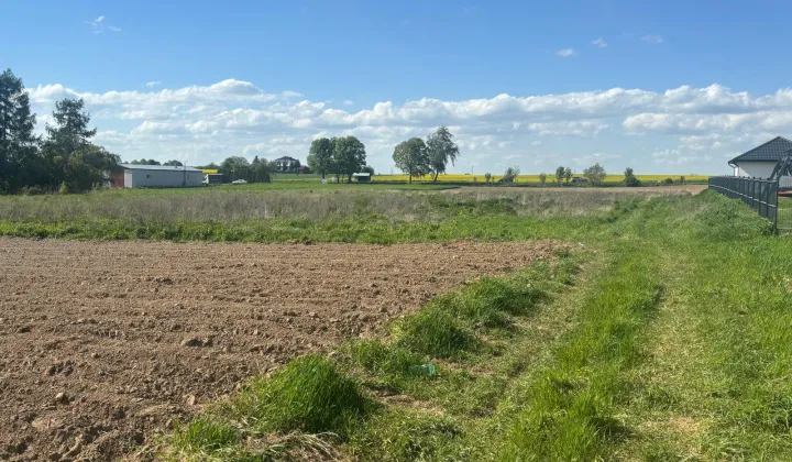 Działka budowlana Zofiówka