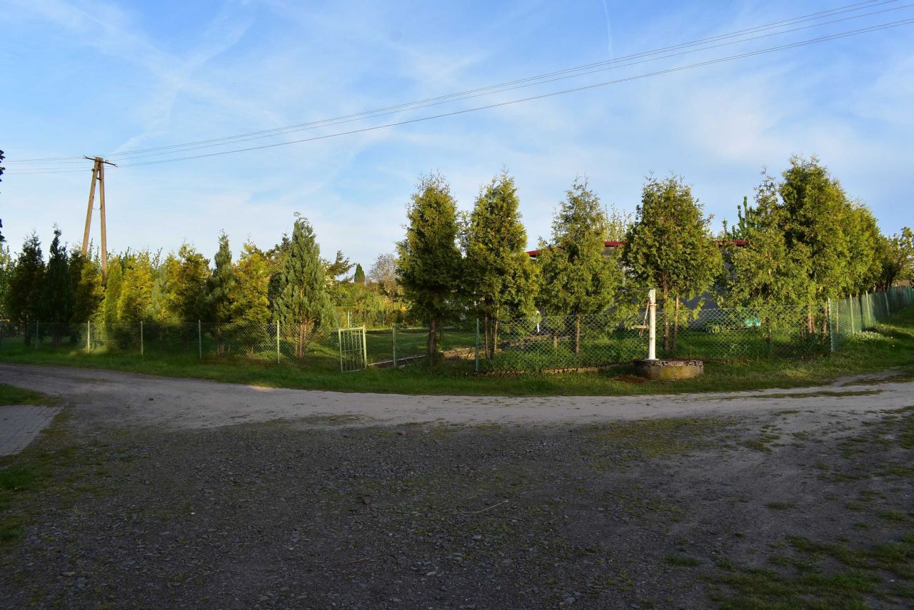 Działka rod Gniezno, ul. Powstańców Wlkp.. Zdjęcie 4