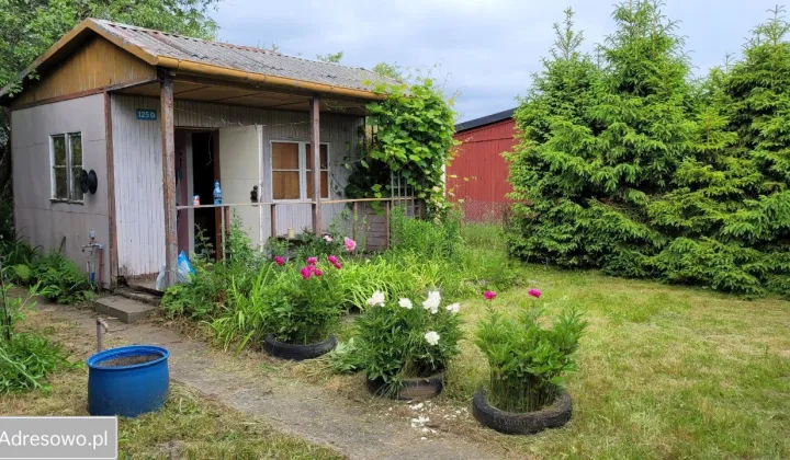 Działka rod Gdańsk Rębiechowo, ul. Nowatorów