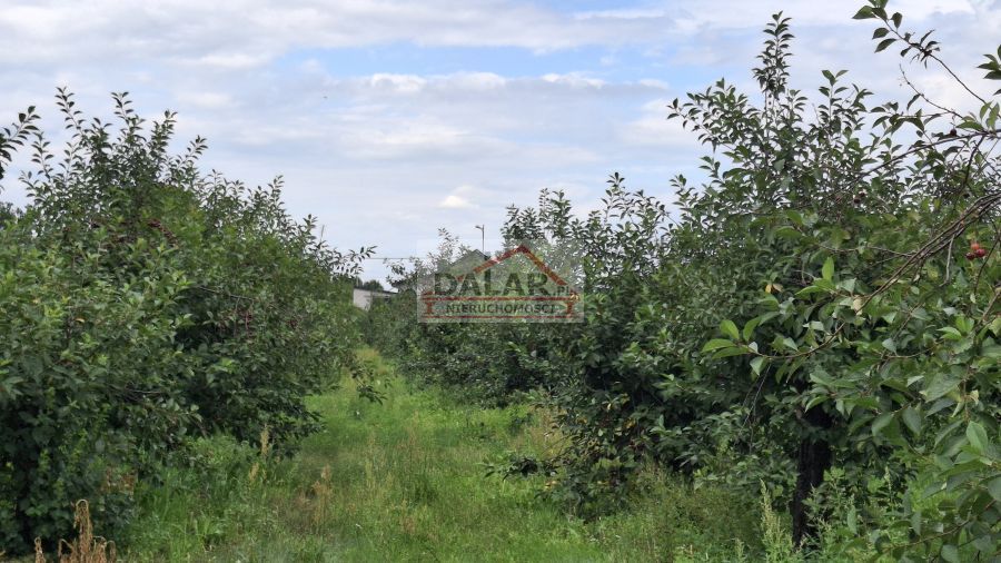 Działka budowlana Grabów nad Pilicą, ul. Kazimierza Pułaskiego. Zdjęcie 2