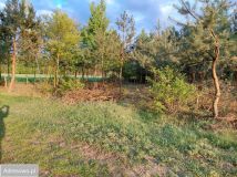 Działka Ludwikowo. Zdjęcie 4