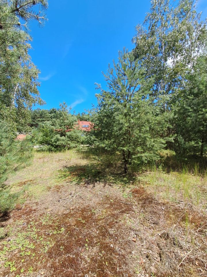 Działka budowlana Nowe Prażuchy Bielawy. Zdjęcie 3