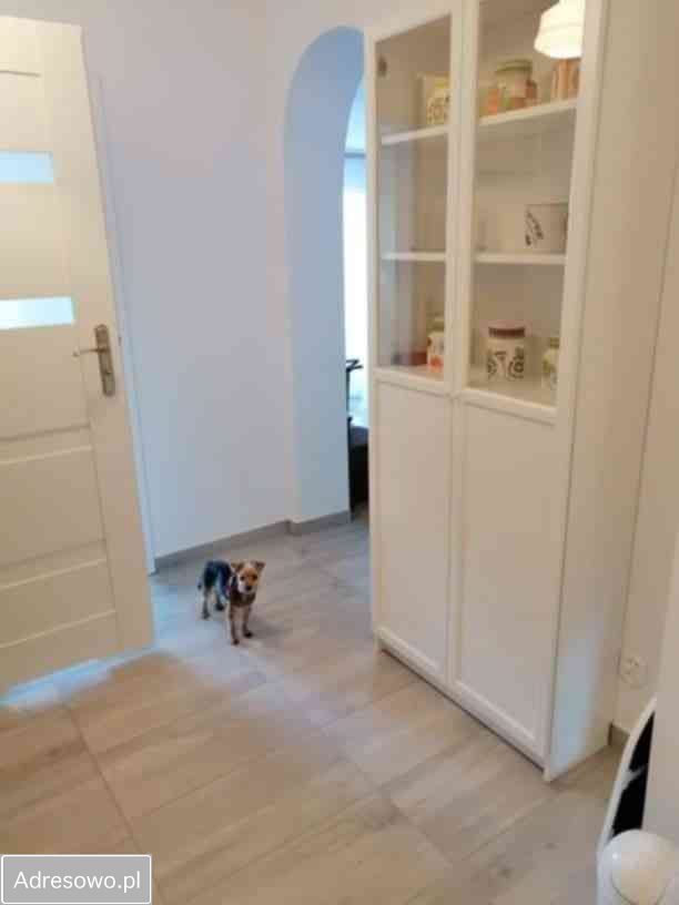 Działka rekreacyjna Koronowo Pieczyska, ul. Wypoczynkowa. Zdjęcie 11