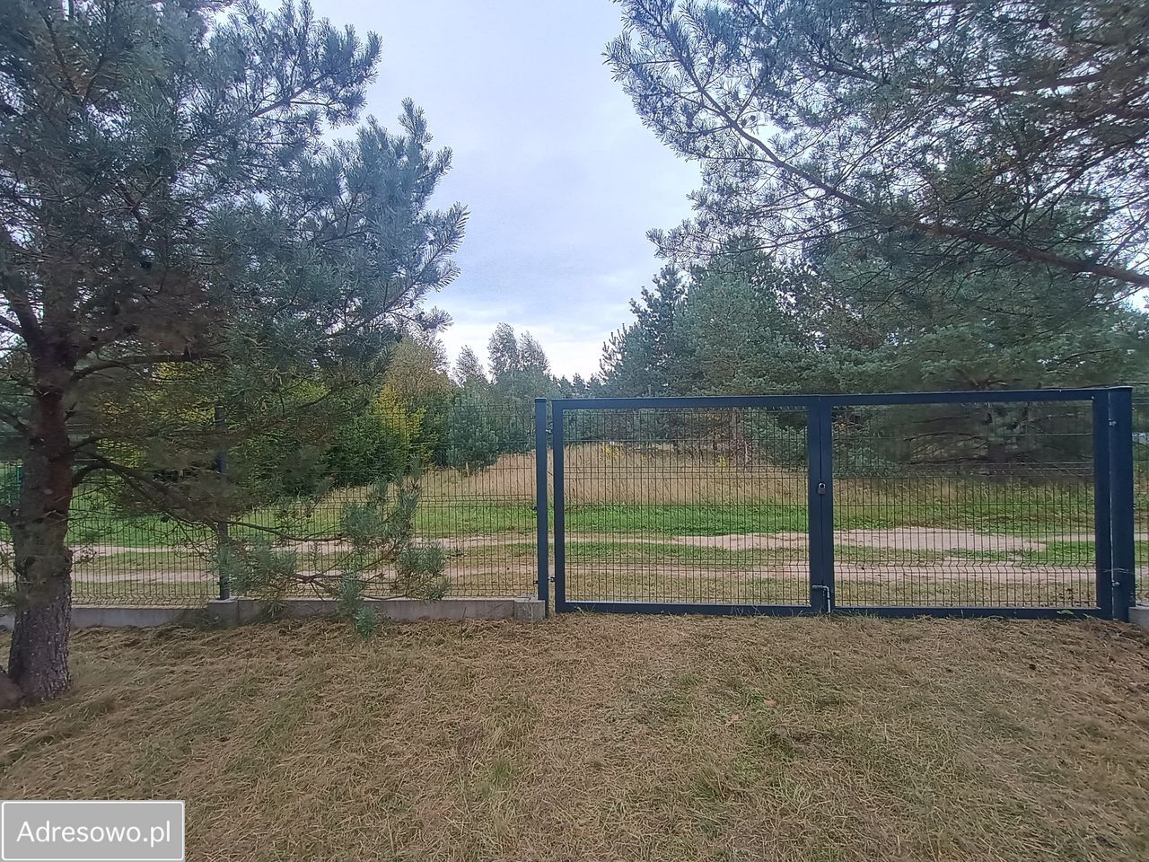 Działka rekreacyjna Drzonowo. Zdjęcie 4