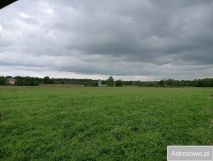 Działka rolno-budowlana Żyrzyn