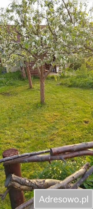 Działka rod Białystok Dojlidy, ul. płk. Czesława Hake. Zdjęcie 5