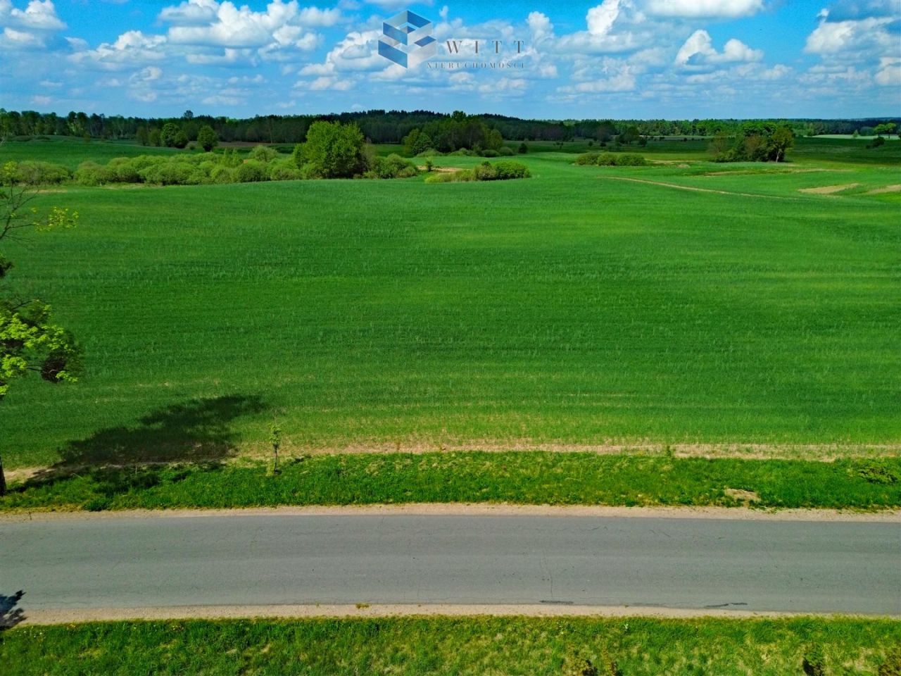 Działka rolna Liwa. Zdjęcie 9