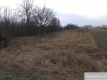 Działka rolna Łomna. Zdjęcie 3