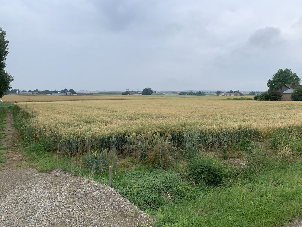 Działka rolno-budowlana Stężyca-Kolonia. Zdjęcie 2