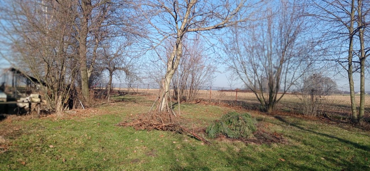 gospodarstwo, 7 pokoi Rudołtowice, ul. Wincentego Witosa. Zdjęcie 19